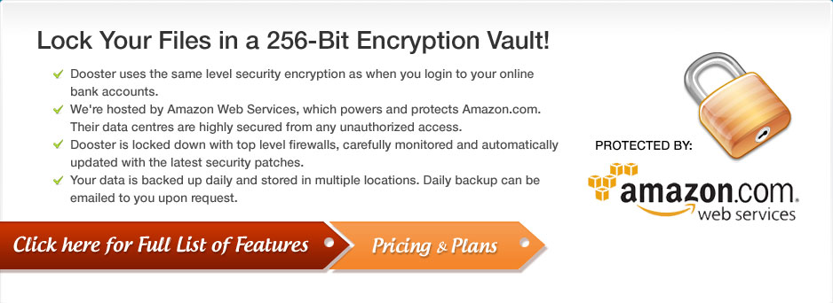 Lock Your Files in a 256-Bit Encryption Vault!